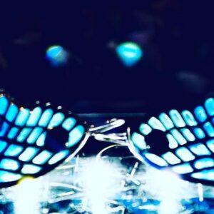 QUE TUS ALAS TE LLEVEN LEJOS